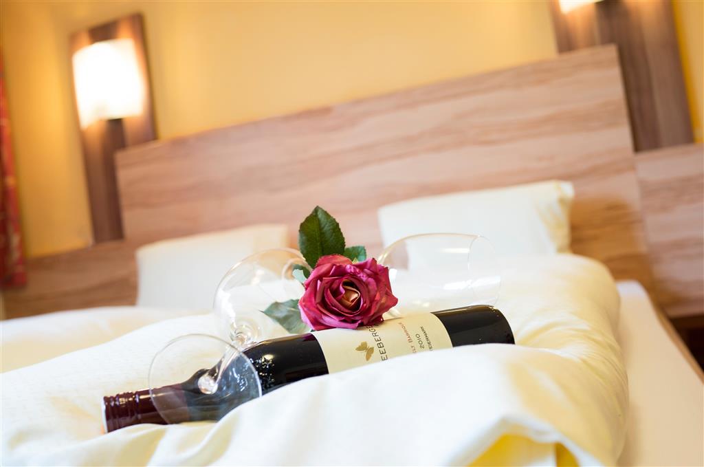 Hotel Schladmingerhof - zájazd CK Turancar - Rakúsko zima - Schladming