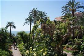 Hotel Best Siroco - hotel - letecký zájazd CK Turancar - Španielsko, Malaga