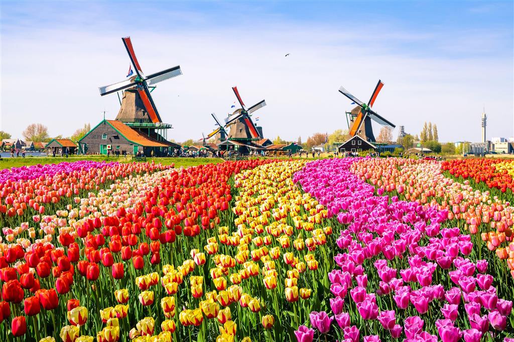 CK Turancar, autobusový poznávací zájazd, Kvetinové Holandsko a Belgicko, Keukenhof, tulipánové polia a veterné mlyny
