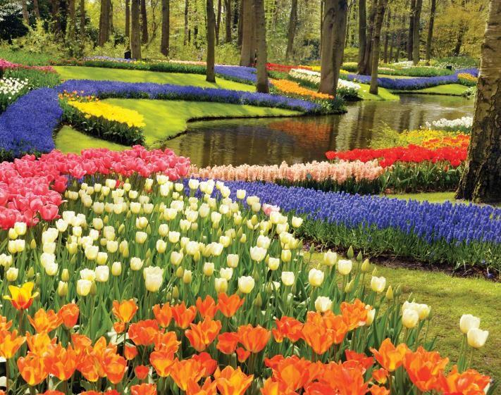 CK Turancar, autobusový poznávací zájazd, Kvetinové Holandsko a Belgicko, Keukenhof, tulipány