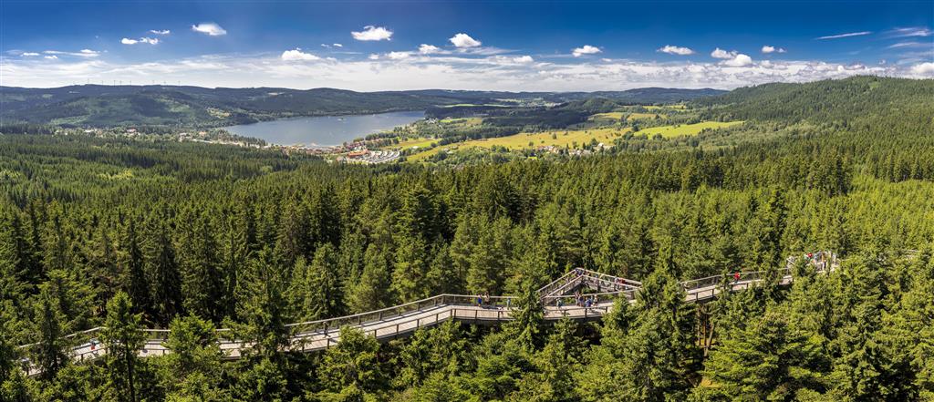 CK Turancar, autobusový poznávací zájazd, Česko a Rakúsko, Lipno nad Vltavou, Cesta v korunách stromov