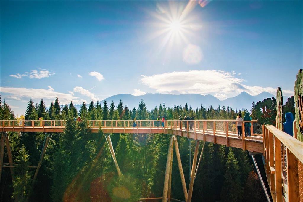 CK Turancar, Autobusový poznávací zájazd, Vysoké Tatry a severný Spiš, Bachledova dolina, chodník korunami stromov