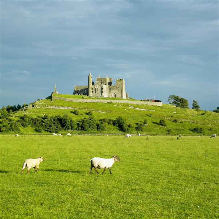Dublin a Moherské útesy letecký poznávací zájazd, Rock of Cashel