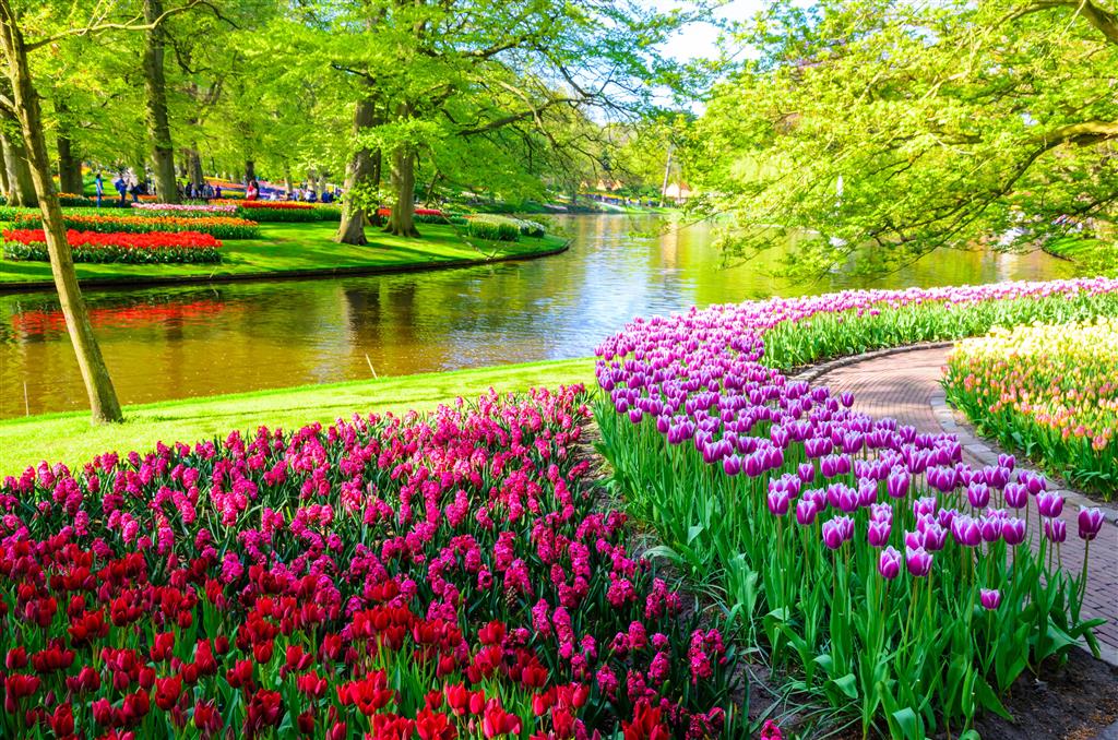 CK Turancar, Letecký poznávací zájazd, Holandská tulipánová cesta, Keukenhof