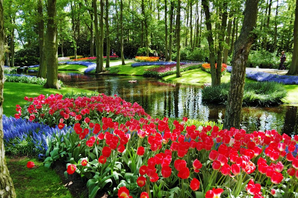 CK Turancar, Letecký poznávací zájazd, Holandská tulipánová cesta, Keukenhof